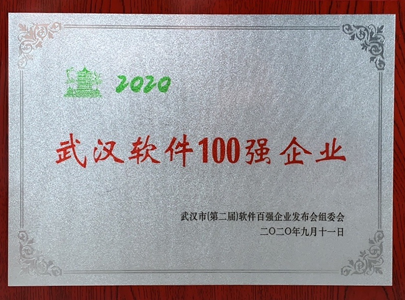 16、2020年武漢軟件100強企業(yè)