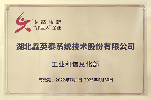 國家級專精特新小巨人企業(yè)